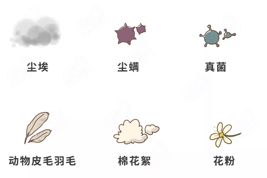 来源|过敏性鼻炎正高发：路边常见的一种草，可能是头号过敏原！