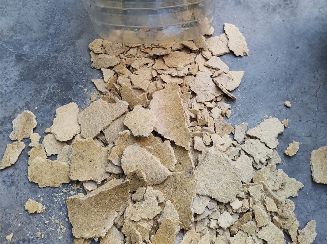 哪些东西可以榨油 dca129f7860e4b67874076e5c6bc4c42.jpeg