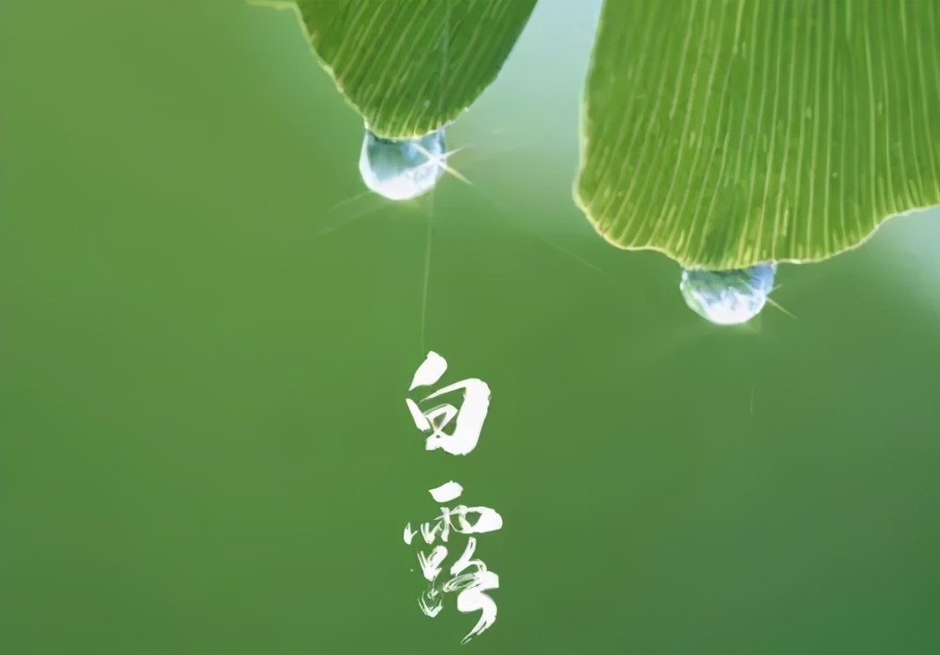 露从今夜白秋意日渐深这个秋天不生病