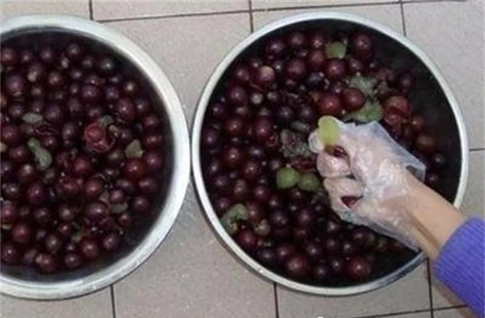 方法|怎样酿造高甜度葡萄酒?葡萄酒酿酒过程