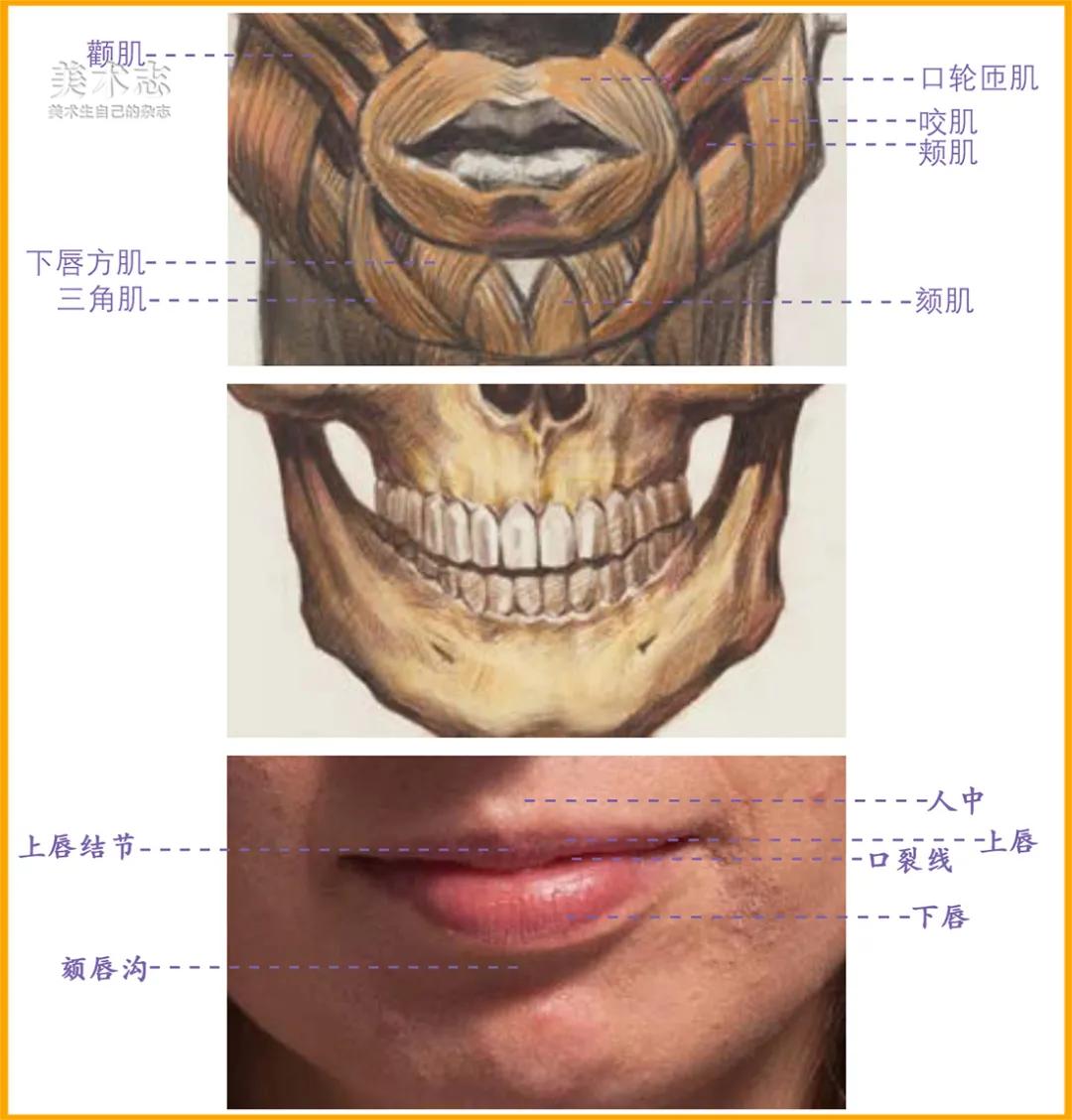 交界线|【嘴巴】应该是每个人区别最大的五官，你仔细观察过吗 ？