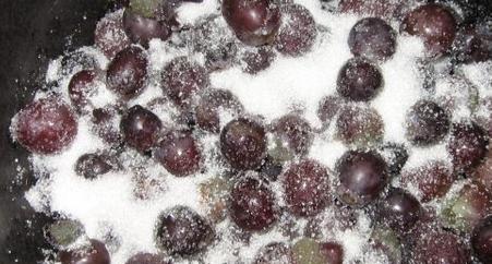 葡萄|别在喝自酿的葡萄酒了,专家发现里面有大量的大肠菌,吓死宝宝了