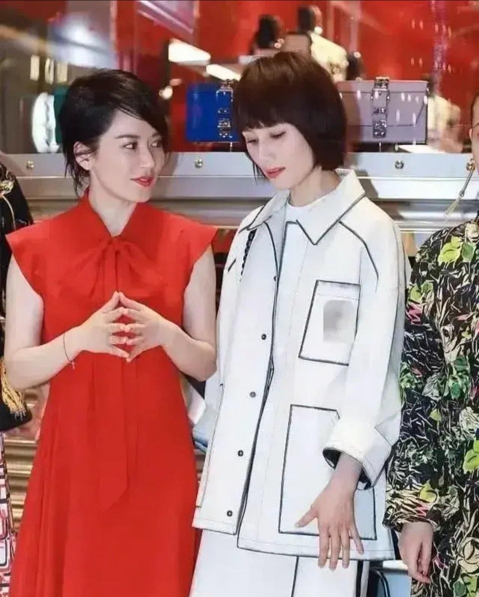 俞飞鸿|网传电视剧《玫瑰之战》原女主被换，改由袁泉出演！