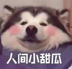 双肩包|18款平价高颜值的双肩包，上班上学背，美！炸！了！