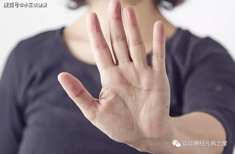 科普|运动神经元是什么?(定向科普)