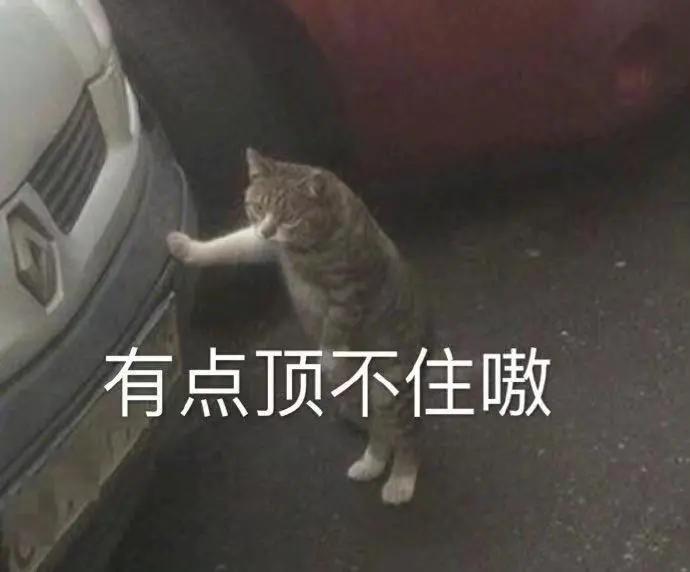 充气|有钱但真土，说的就是她们！