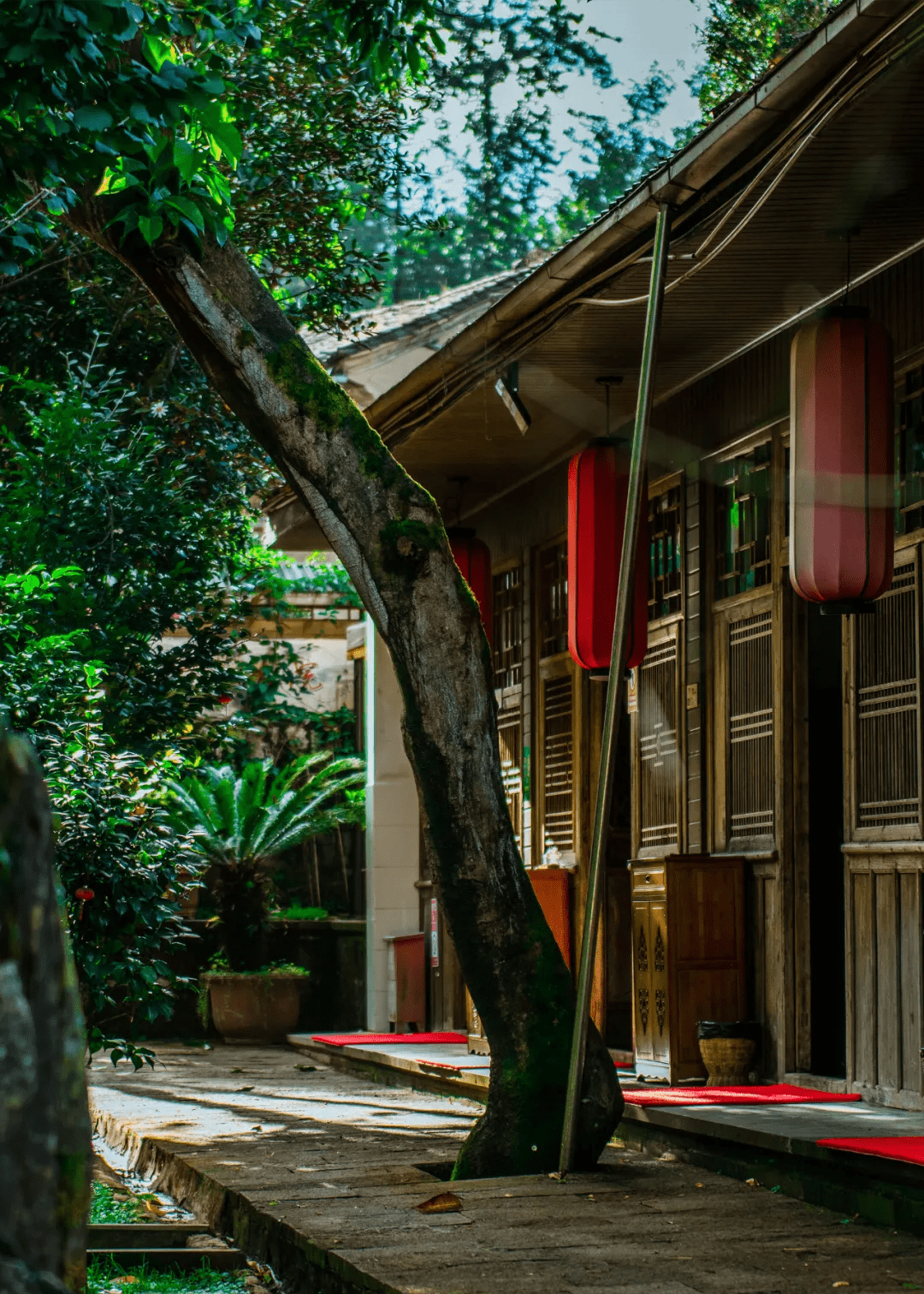 马帮|觅食寻味丨老宅子里的腾冲味道