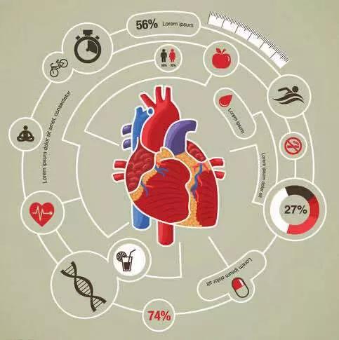食物|心脏健康源于良好的生活方式！