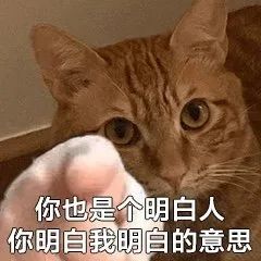 玻璃|把厨房放进“壶”里！蒸炖煮一机搞定，堪称上班族养生神器