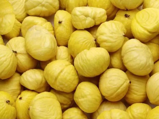 坚果是哪样的 b1688e90889b40b88e72dc2490352b78.jpeg