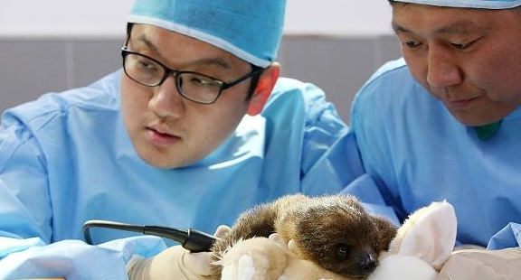 类人|4类人易被直肠疾病“盯上”,快看你有没有在其中