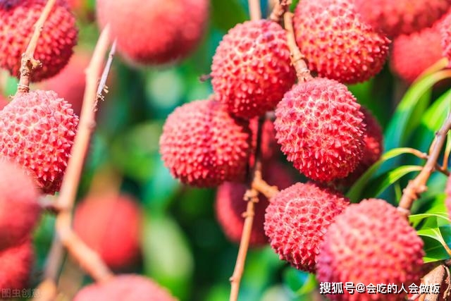 1cca089f38024f5997d8a42335880bee.jpeg