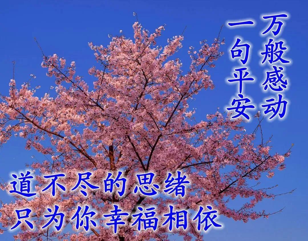 原創8張清新漂亮秋天清晨早安圖片帶字帶祝福語好看的秋日風景早上好