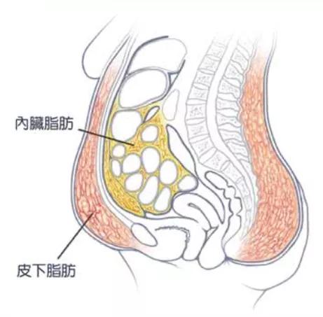 出圈|刚要凭演技出圈的她却因为一个小动作差点凉了…