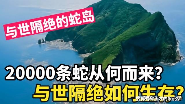 大連蛇島上的20000條毒蛇這些毒蛇從何而來是否有天敵呢