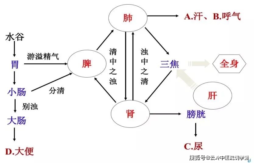 疏调云讲堂第五十八期中医气机理论二十一