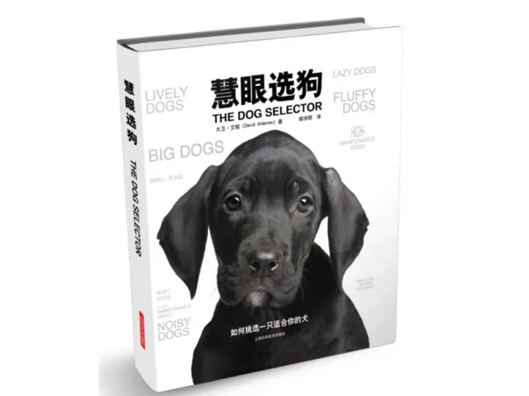 猫咪|打开这份书单,OK优选带你走进大型“吸喵\汪”现场