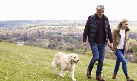 什么|很喜欢出去玩的狗,为什么突然死也不出门?你找到原因没