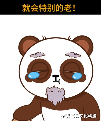 回头率|你不知道的有病知识都在这里，咖咖熊带你来解锁！