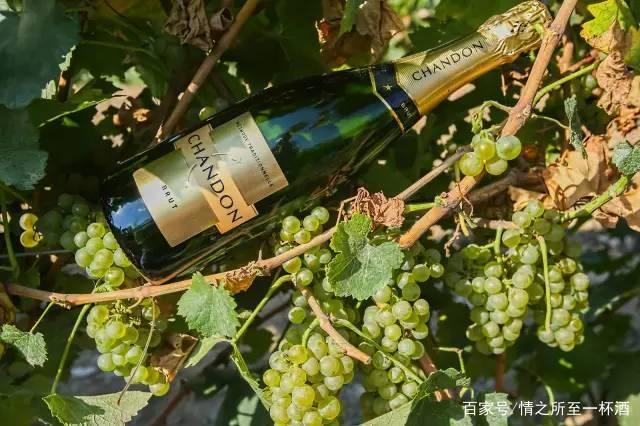 生活|家在宁夏,我骄傲!