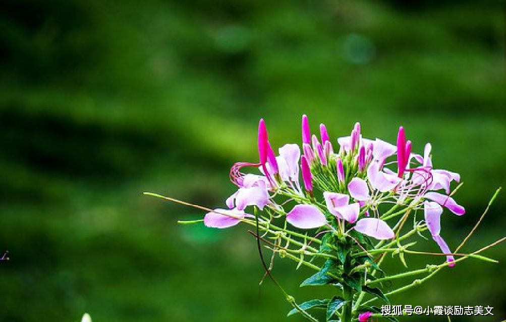 文章配图-5