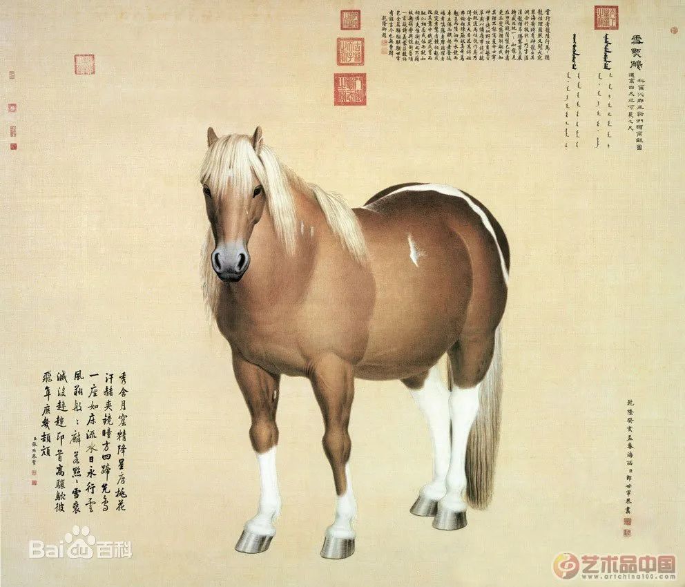 国画鉴赏】——郎世宁《雪点雕》_搜狐网
