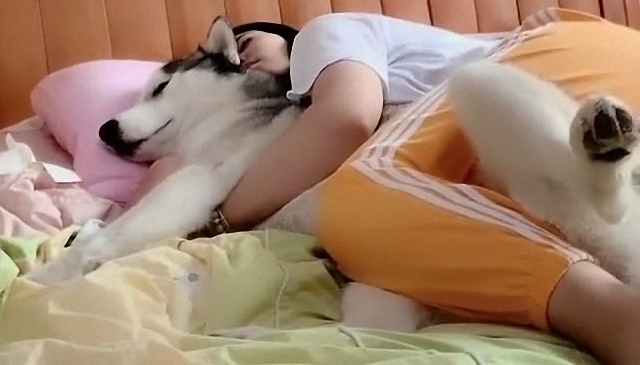 哈士奇在線求助：被美女抱時候，後腿應該放哪裡，我的狗腿舉麻了 萌趣萌寵 第2张