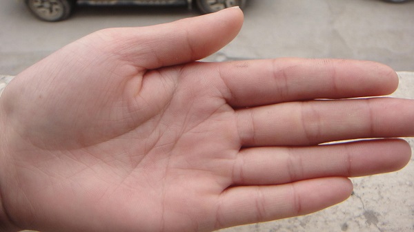 手相如何看 手相五大主线看手相好坏 影响