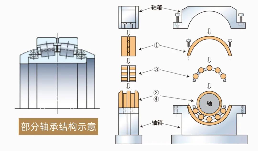 牛眼轴承内部结构图片