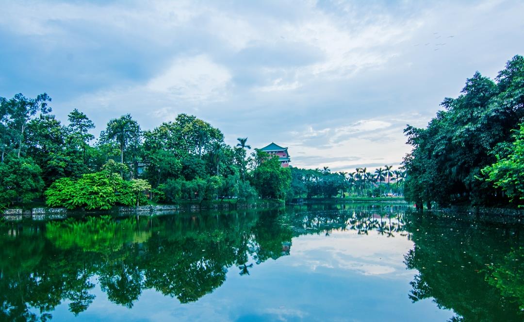 实拍华南农业大学，虽是高等学府，却比很多公园还要迷人！