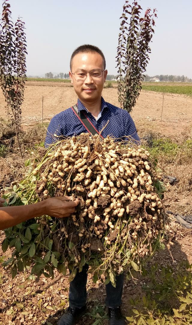 河南益人:争做中国功能花生品种的领跑者