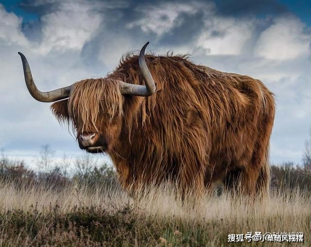 世间很多生物_世上有几种生物_世间生物很多怎么形容