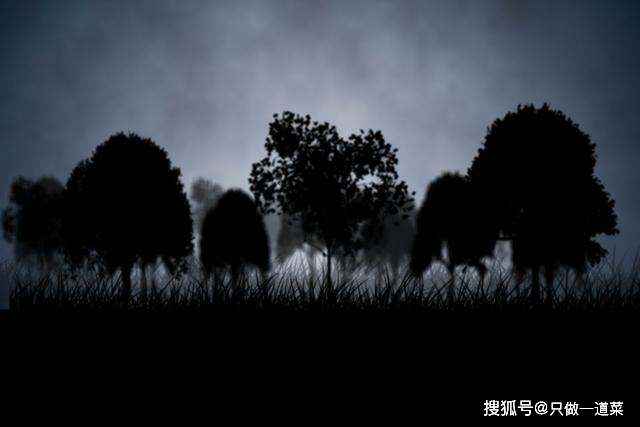 f53880763fcb4d1282a5c1694ea5fe85.jpeg