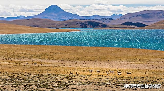 它是西藏的第一大湖，未来可能会超过青海湖，它为何会变大？