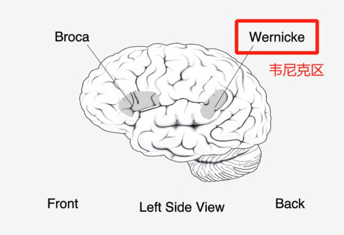 智商|吼孩子既影响娃的智商又对家长不利，换种方式解决，或许更有效果