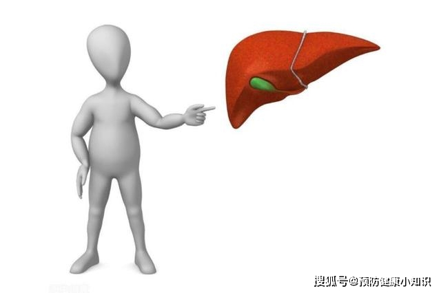 毒素|肝不好的人，每天坚持做这3件事，肝脏或许会给你点赞