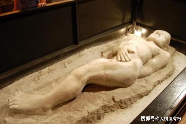 当然,骗局是经不起推敲的,所谓巨人化石的真相很快就被揭秘了.