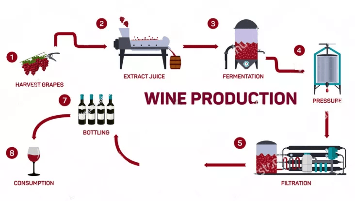 地区|别卡速:K87 领袖风范半干红
