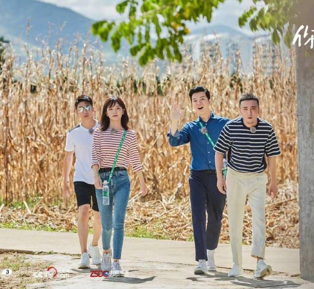 细节|王冰冰成央视顶流!穿T恤拍综艺人气爆棚彻底火,更被倪萍夸上天