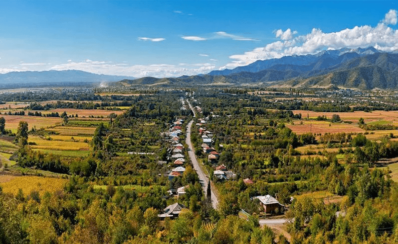 地区|别卡速:K87 领袖风范半干红