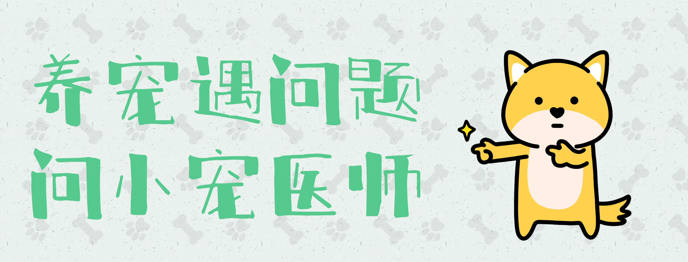 蔬菜|你会给狗狗喂食吗?小宠医师告诉你狗狗科学喂食的方式