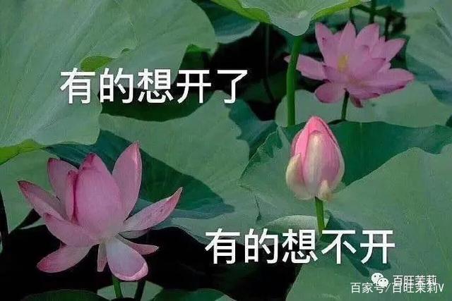 游戏设计师|编都懒得编了,还让我们看?