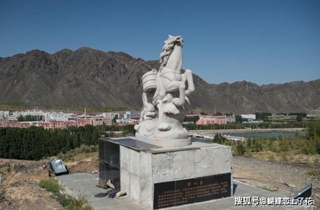 一匹军马立下三等功,且"永不退役",它所立下的战功让人钦佩_伊吾县