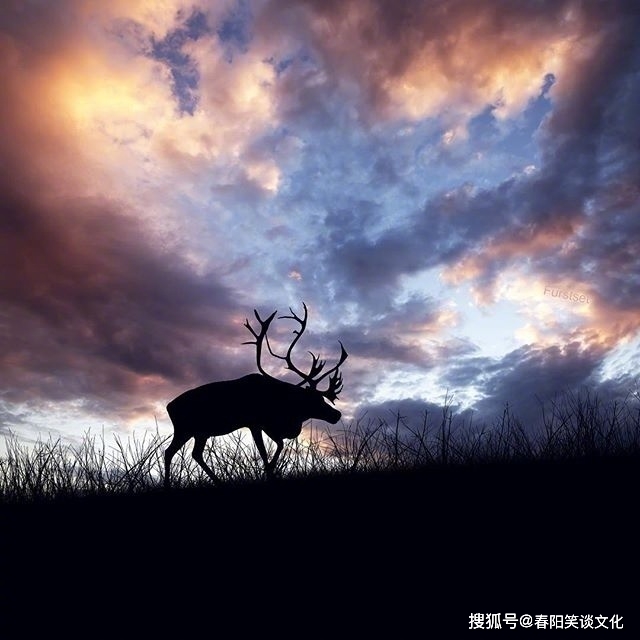 如何让自己不要那么浮躁 86e318f0ae6248bcab172c7a54a1a06a.jpeg