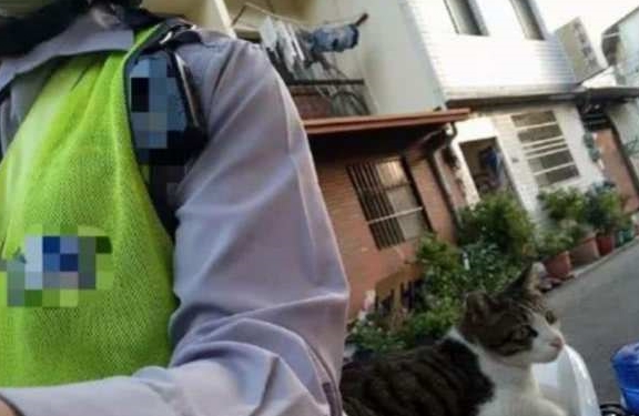 猫咪狸花猫霸占了警察叔叔的坐骑，因妨碍公务被“带回警局拘留”了