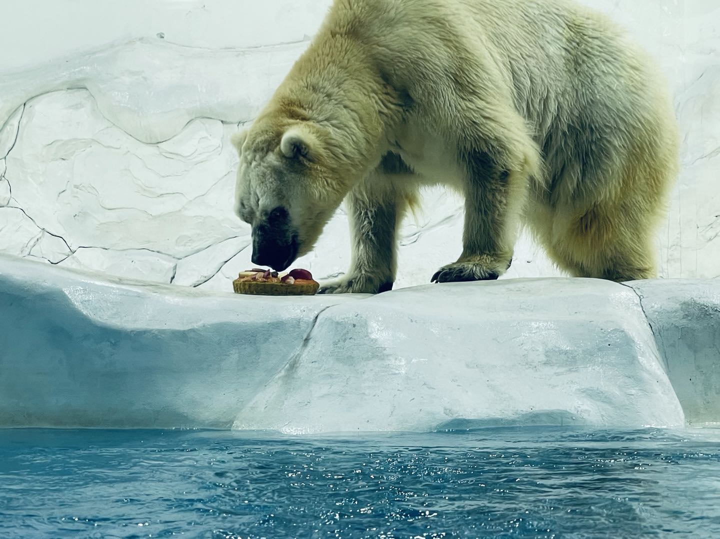 米熊俱乐部大风起沙米熊俱乐部官网