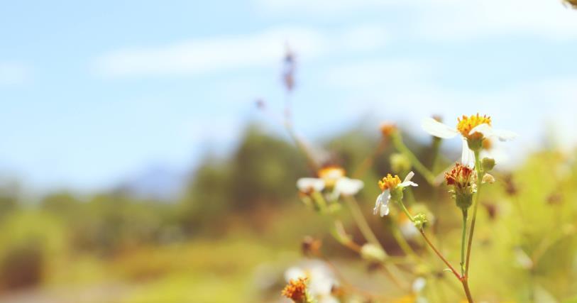 本人|越是低谷的时候 越不要闲着