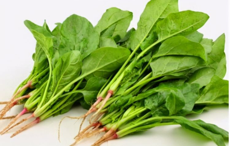 什么时间种菠菜最好吃 3da21b429b664f9099c9623665d8148f.jpeg