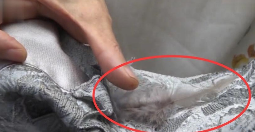 奢侈品|女子花12200买裙子，被多家洗衣店拒之门外，商家：你自已心清楚