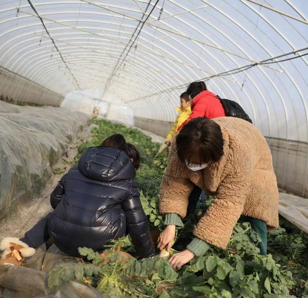 邓超|邓超夫妇携子女出镜，孙俪身着羊羔绒外套差强人意，网友：好显胖